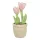 Trixie Plüss Tulipán 27cm