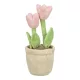 Trixie Plüss Tulipán 27cm