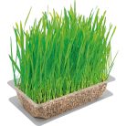 Vitakraft macskafű 120g