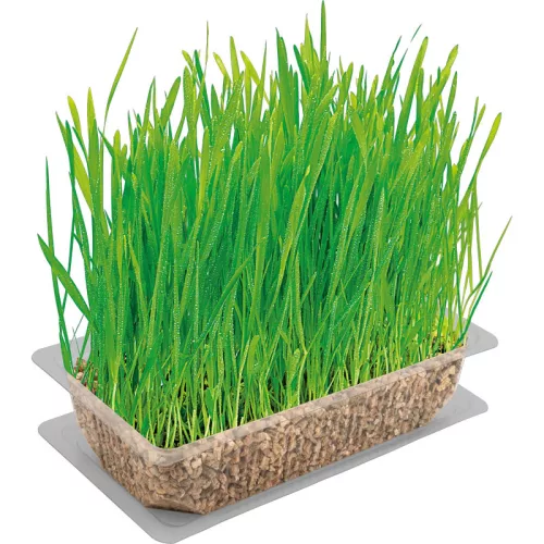 Vitakraft macskafű 120g