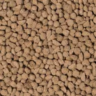 Beaphar Care+ nyúltáp 5kg