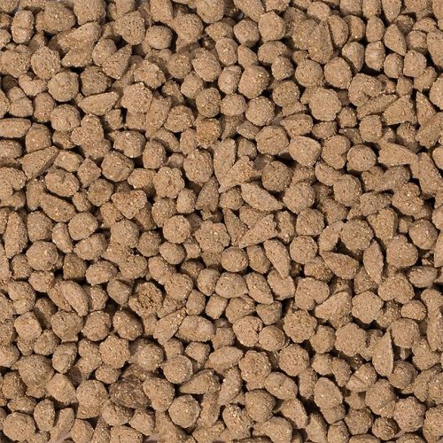 Beaphar Care+ felnőtt nyúltáp 1,5kg