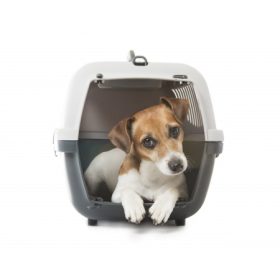 Kutya szállító box, hordozó táska, ketrec, kennel