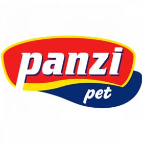 Panzi