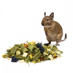 Degu táp