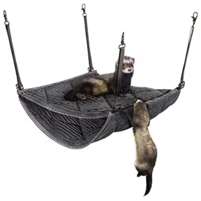 Vadászgörény felszerelés