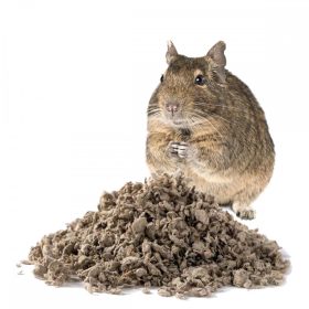 Degu alom