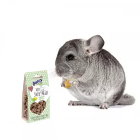 Csincsilla jutalomfalat