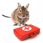 Degu házipatika