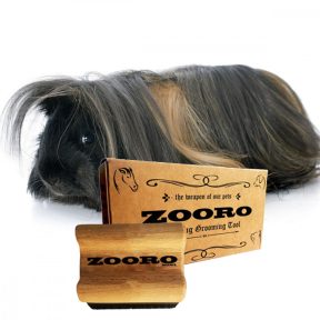 Tengerimalac ápolás