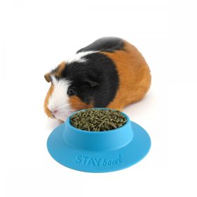 Tengerimalac táp
