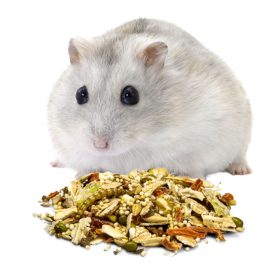 Hörcsög táp