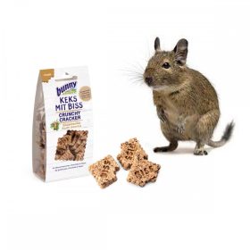 Degu jutalomfalat