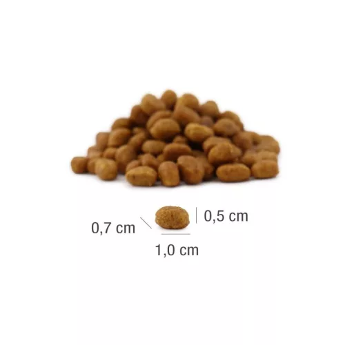 Platinum MeatCrisp Adult Fish 3kg 
