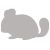 csincsilla csincsilla